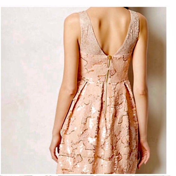 Anthropologie Eva Franco  Blush Gold Sequin Lace Fit and Flare Dress 8 - Picture 8 of 14